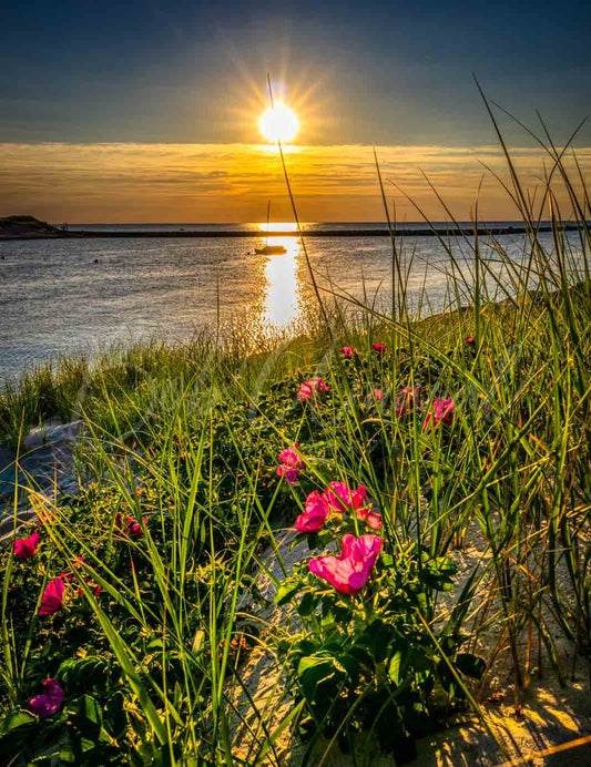 Sesuit Beach - Dennis, Cape Cod