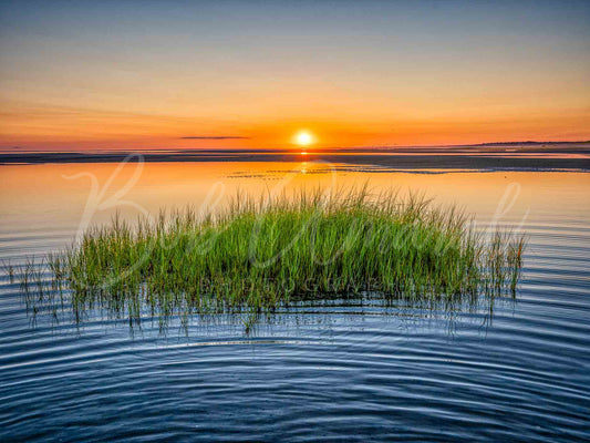 Sea Street Beach - East Dennis, Cape Cod