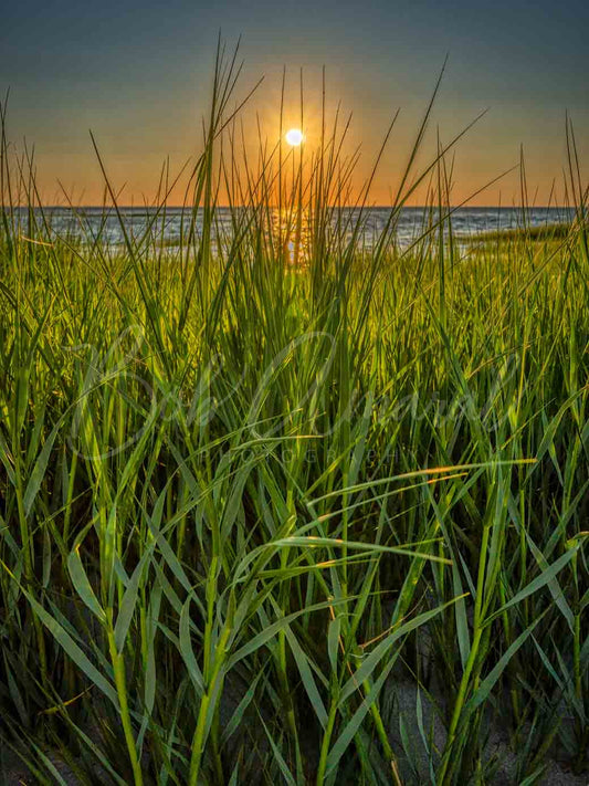 Chapin Beach - Dennis, Cape Cod