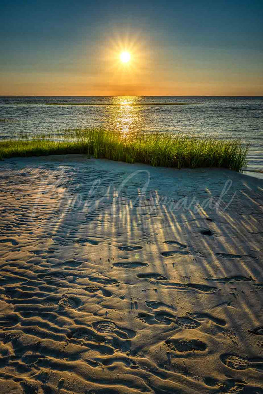 Chapin Beach - Dennis, Cape Cod