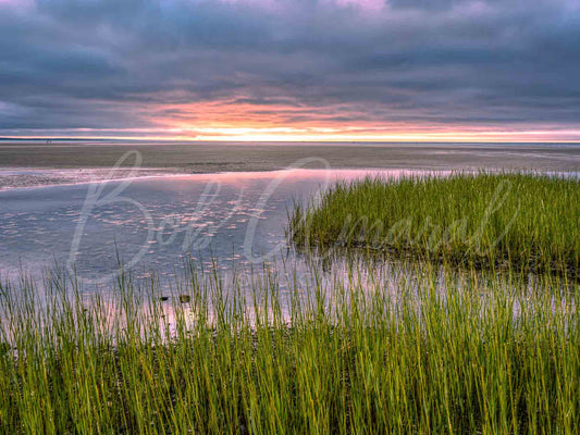 Chapin Beach - Dennis, Cape Cod