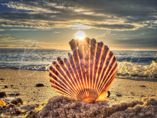 Chapin Beach - Dennis, Cape Cod