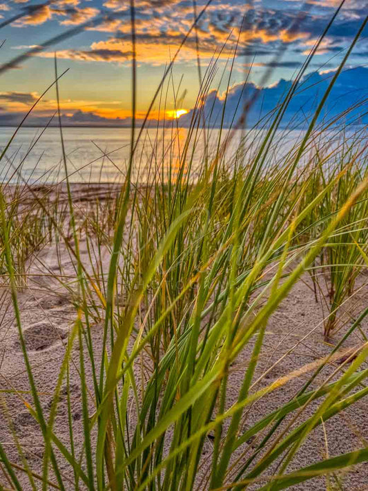 Chapin Beach - Dennis, Cape Cod