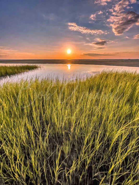 Chapin Beach - Dennis, Cape Cod