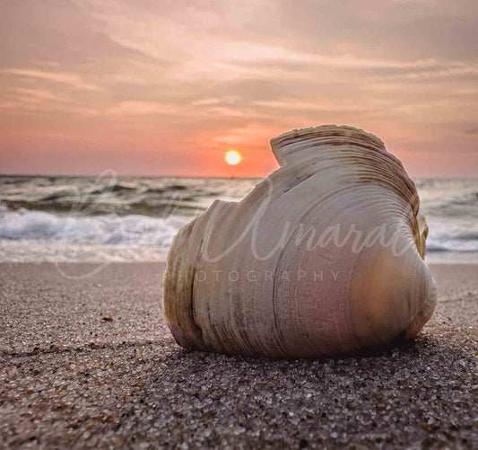 Chapin Beach - Dennis, Cape Cod