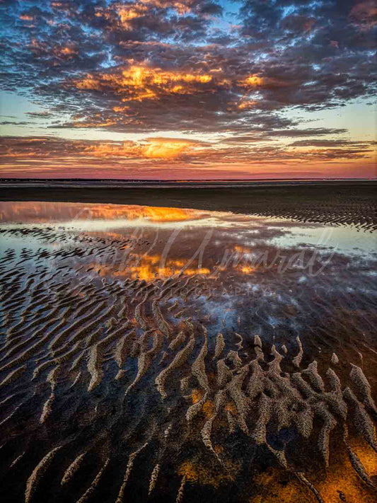 Chapin Beach - Dennis, Cape Cod