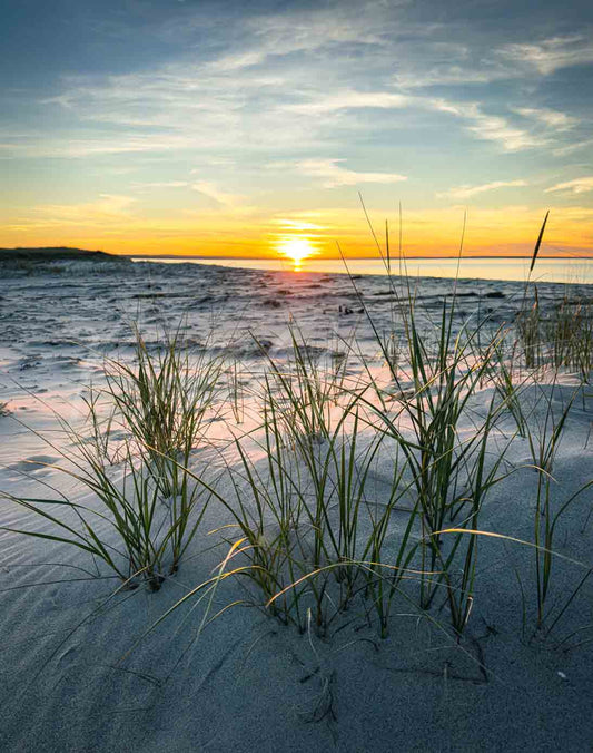 Chapin Beach - Dennis, Cape Cod