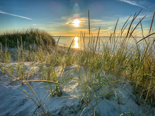 Chapin Beach - Dennis, Cape Cod