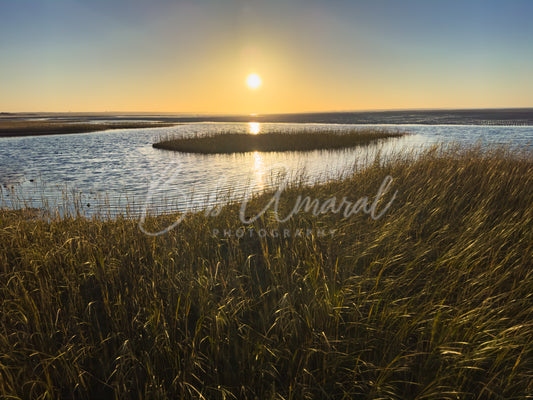 Chapin Beach - Dennis, Cape Cod