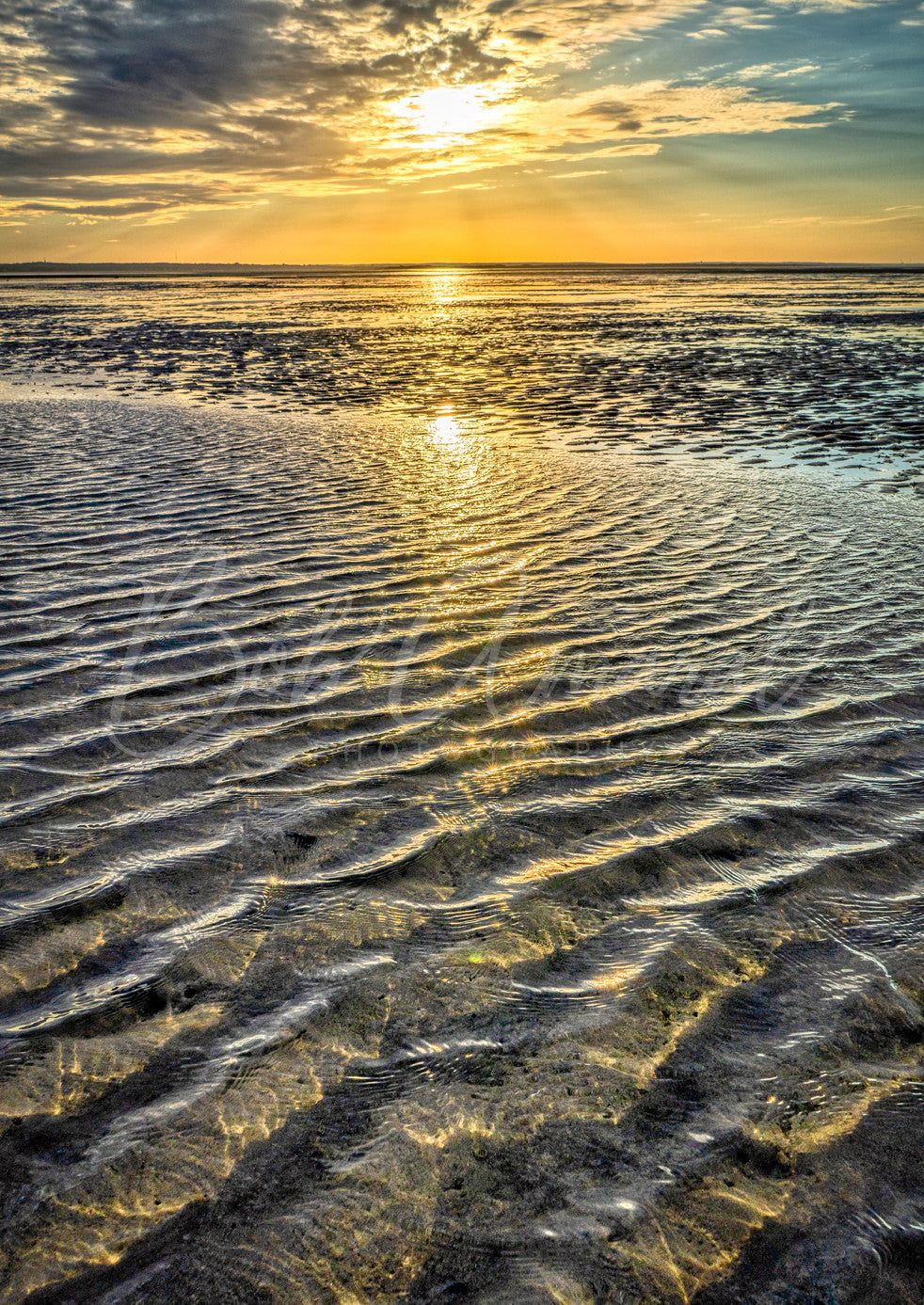 Chapin Beach - Dennis, Cape Cod