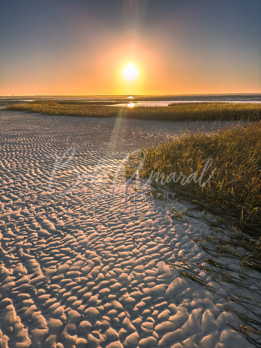 Chapin Beach - Dennis, Cape Cod