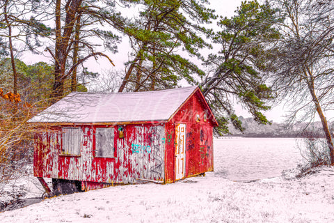 Cranberry Bog- Yarmouth, Cape Cod