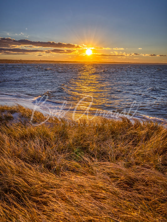 Chapin Beach - East Dennis, Cape Cod