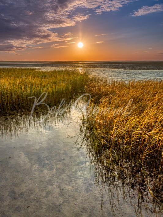 Chapin Beach - East Dennis, Cape Cod