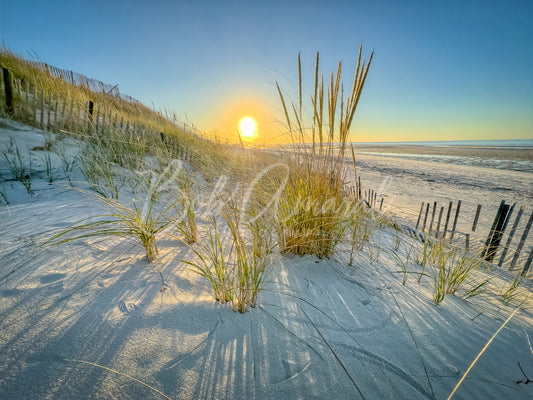 Mayflower Beach - Dennis, Cape Cod