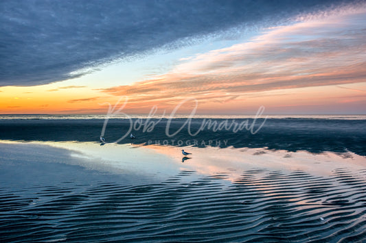 Mayflower Beach - Dennis, Cape Cod