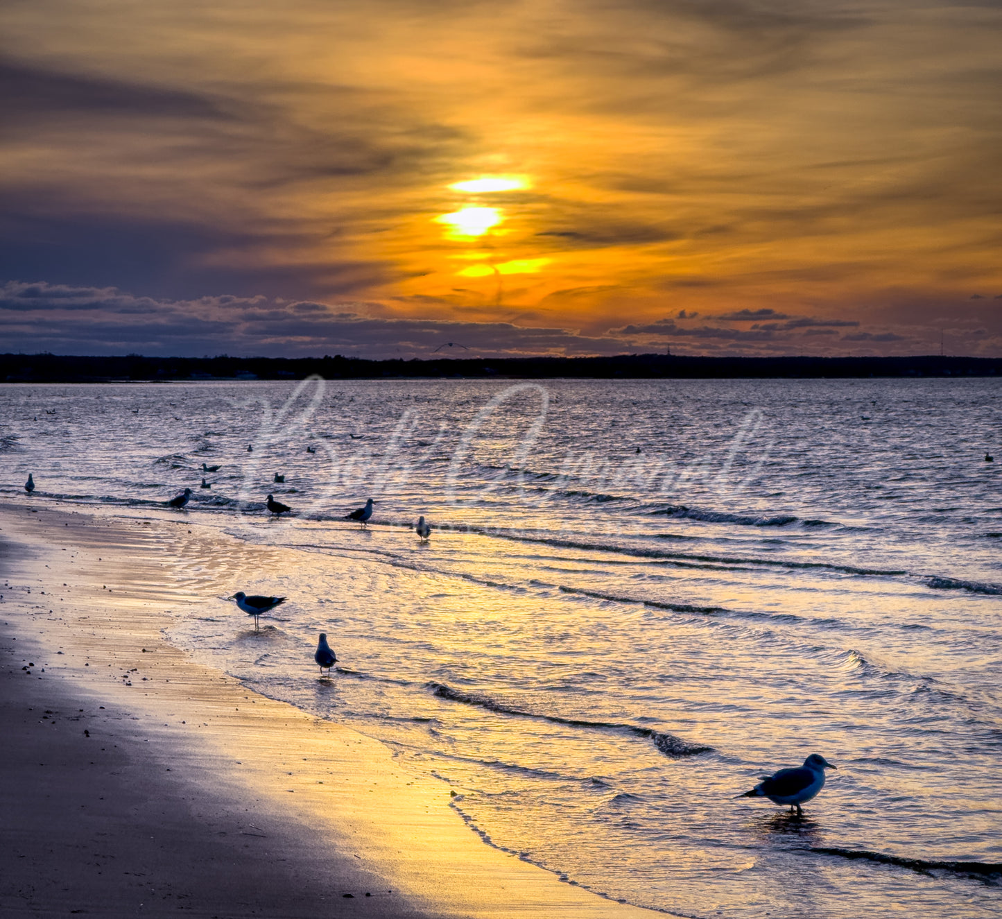 Chapin Beach - Dennis, Cape Cod