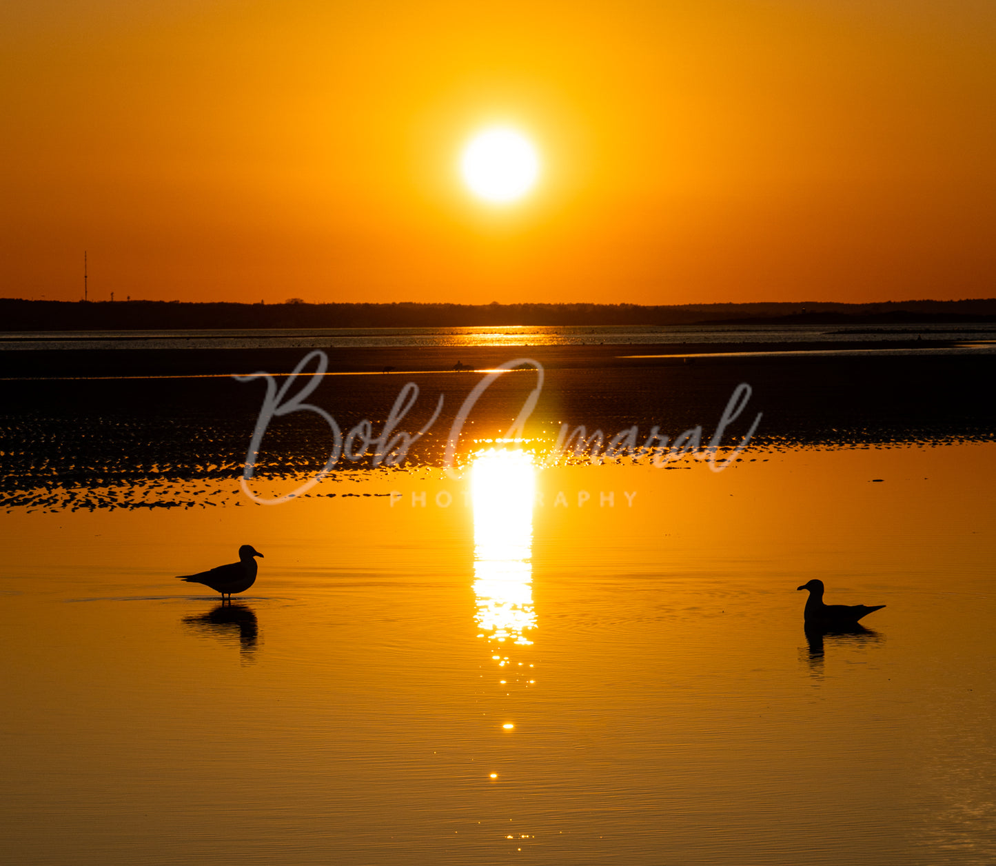 Bayview Beach - Dennis, Cape Cod